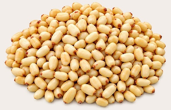 Pumila
