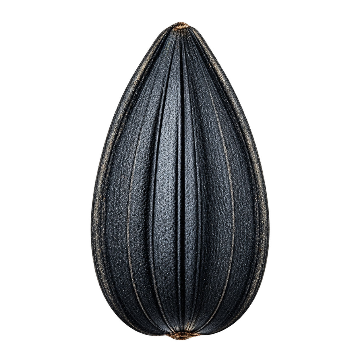 Lakomka